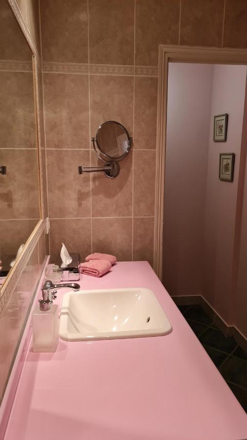 Le Plessis Bbb Bed & Breakfast Blois Dış mekan fotoğraf
